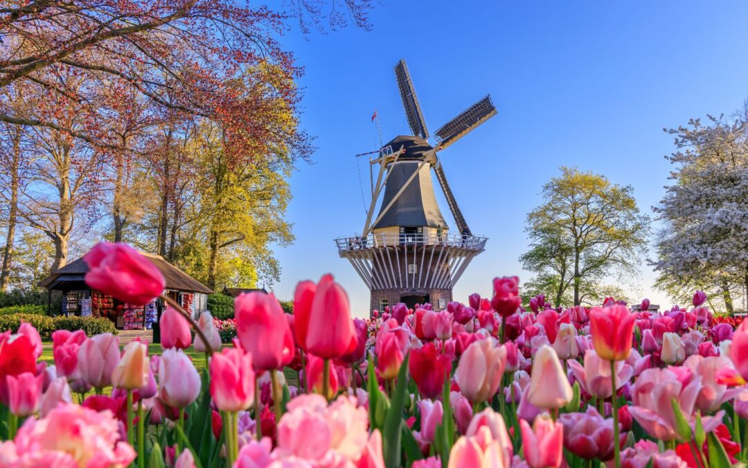 Het beste ATS van Nederland